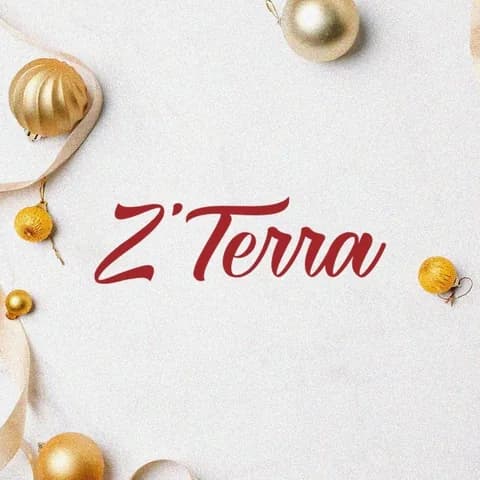 Z'Terra logo