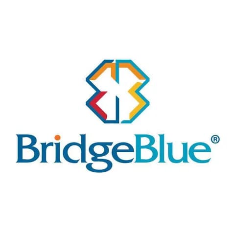 BridgeBlue Mongolia logo