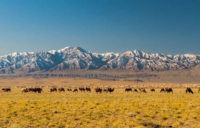 Sunpath Mongolia Hostel