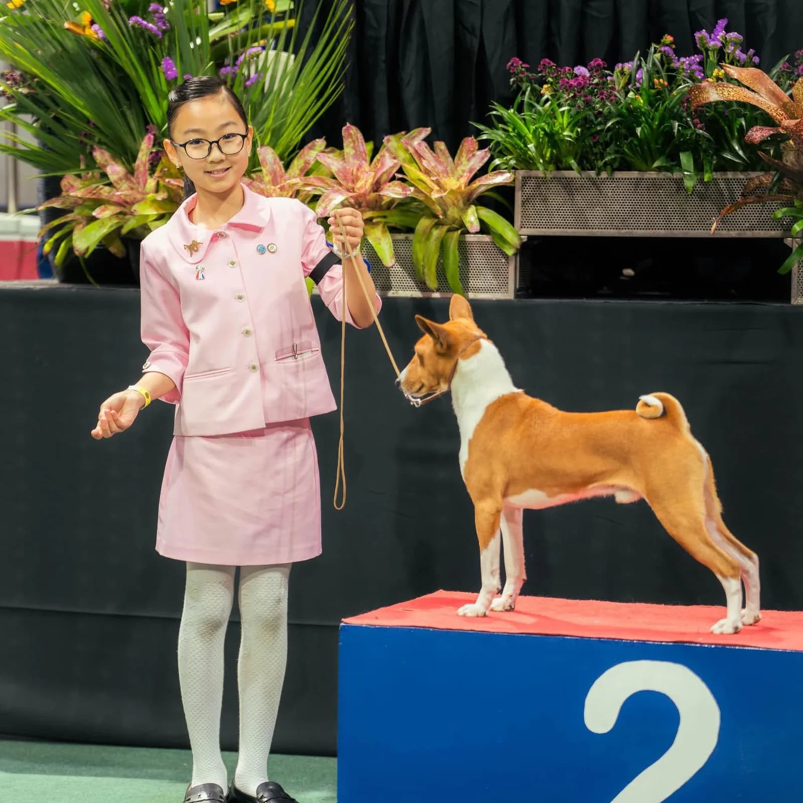 Tri-Star Spirit Kennel