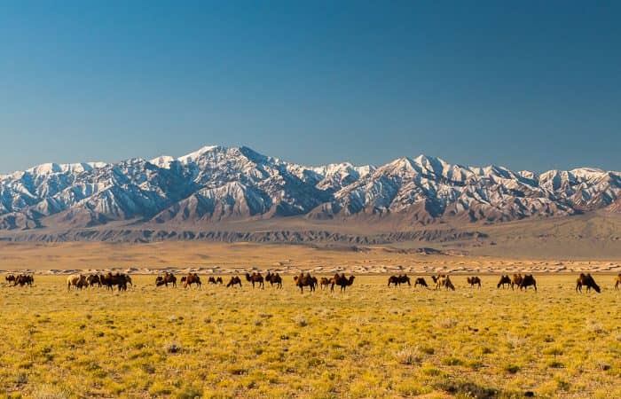 Sunpath Mongolia Hostel