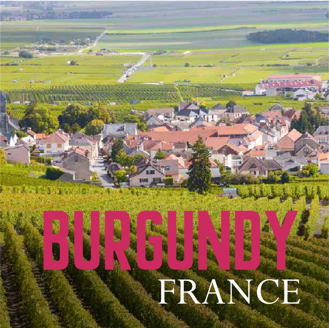 World Wine Vinotage