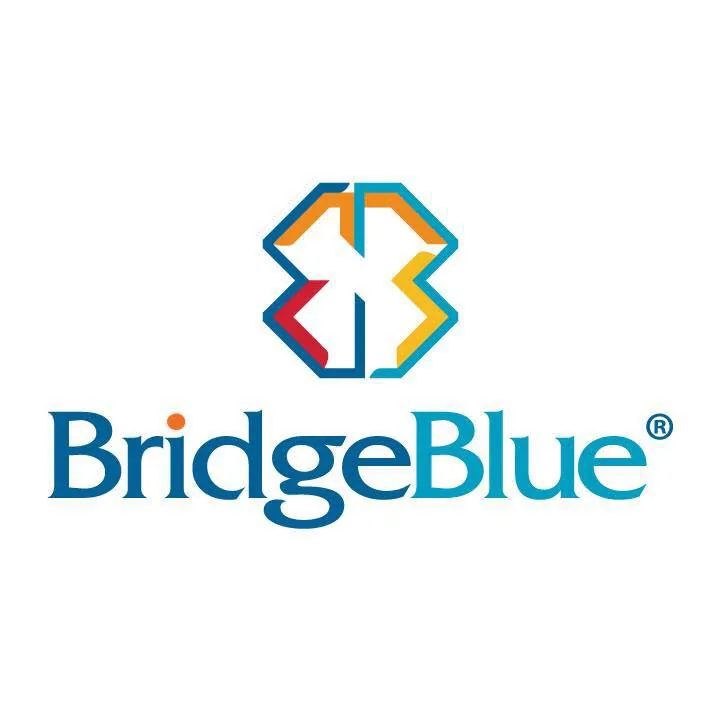 BridgeBlue Mongolia