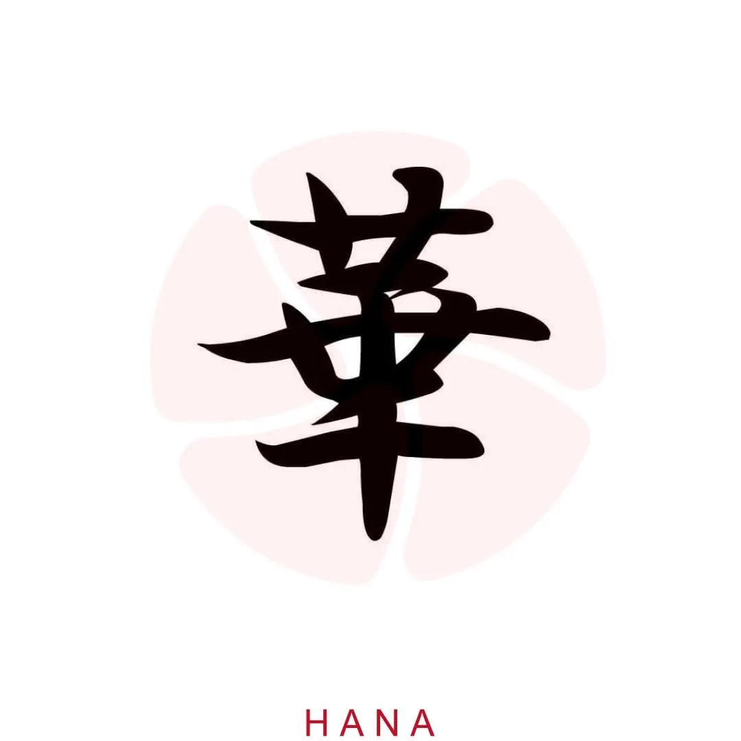 Hana Japanese Restaurant