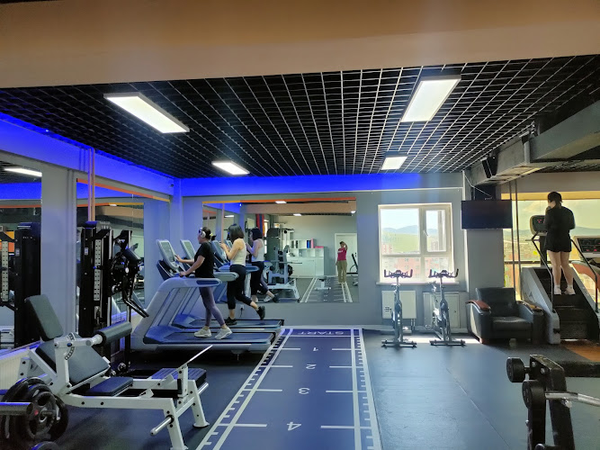 Maximus Fitness Club