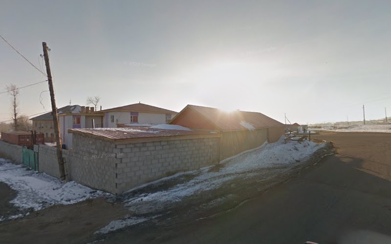 Тэмкагийн маажуурын салон
